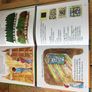 6 New Vintage Educational Children's Books Image 3