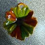 Vintage German early 20th Century  Glazed Green Majolica Leaf Plate Villeroy and Boch possibly Image 2