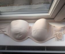 New Unworn Panache Strapless Bra