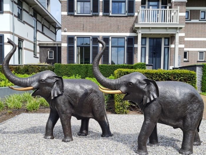 Pair of bronze elephants