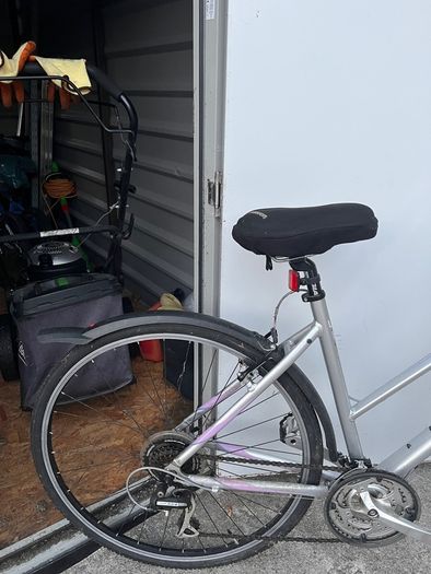 ladies bike