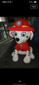 Paw patrol