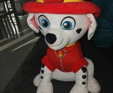 Paw patrol
