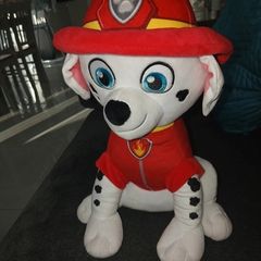 Paw patrol