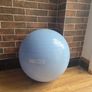 Gym Ball Image 3