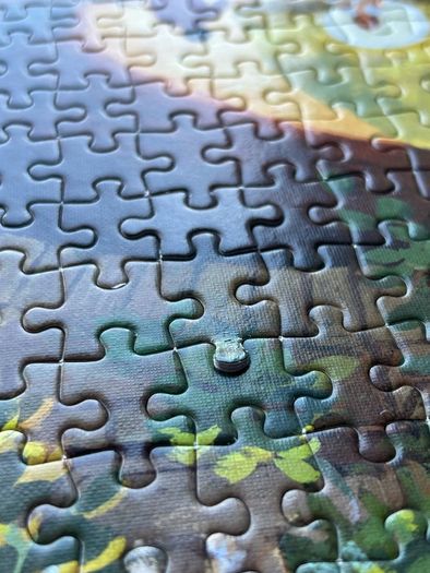 Falcon jigsaw Puzzle 1000 Pieces