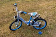 kid bike new in