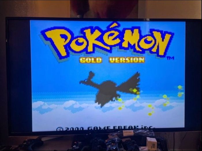 Modded Wii (5000+ Games)