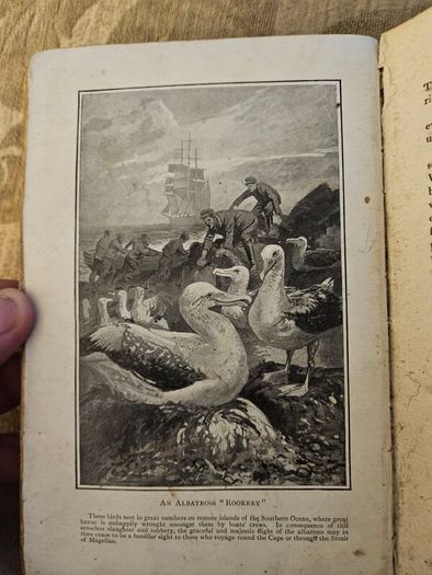 The Romance Of Animal Arts And Crafts. By H. Coupin And John  Lea, M.a. First Edition 1913 Hardback In Fair Condition.  See Photos For Same.