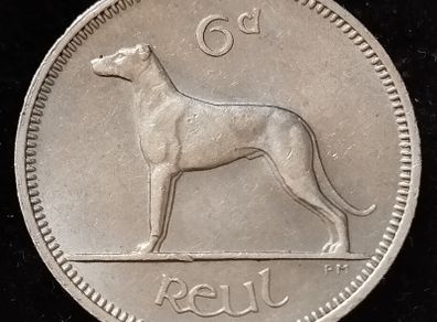 Ireland - 1959 - 6 Pence - Wolfhound - KM.13a - [400]
