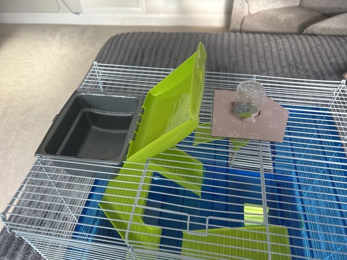 hamster cage
