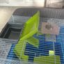 hamster cage Image 4