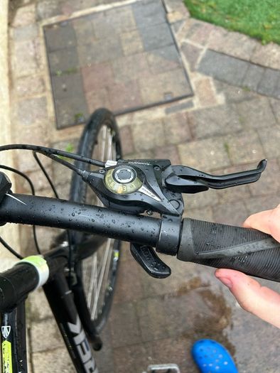 Large Trek Bike