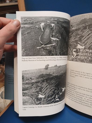 The Quest for the Irish Celt - Mairead Carew