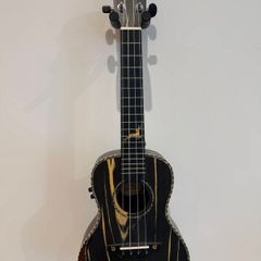 Hartwood Sonata HW-TBK-ARCONE Electro Concert Ukulele