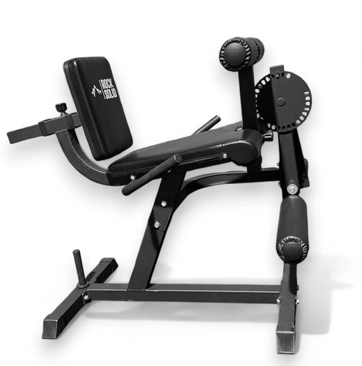 Leg extension and leg Curl machine