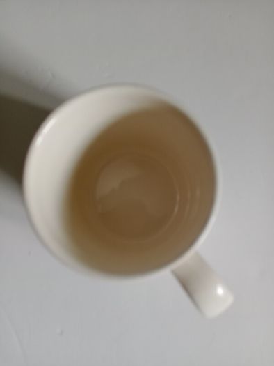 Aer Lingus, memorabilia, carrigaline pottery mug