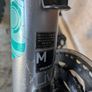 Giant mountain bike Image 3