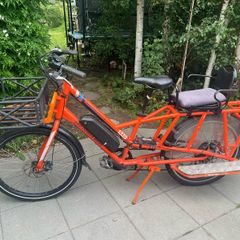Radwagon electric cargo bike