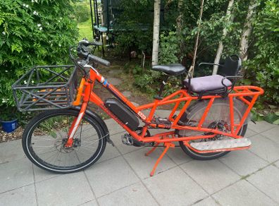 Radwagon electric cargo bike