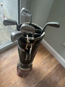 Golf clubs with bag