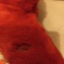 Christmas ladies slippers/boots Image 6