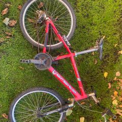 orbita mountain bike