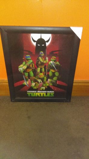 Turtles picture