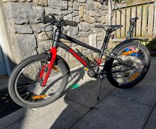 Trek Wahoo 20