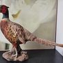 Standing Pheasant Sculpture Image 4