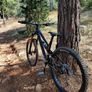 Canyon Torque CF 9 2019 Image 3