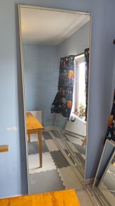 Mirror doors