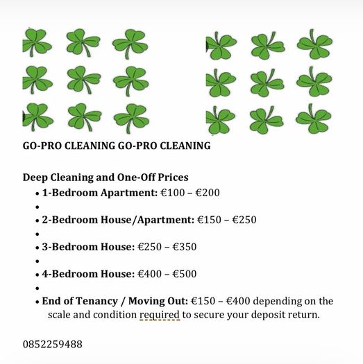 Go Pro Cleaning