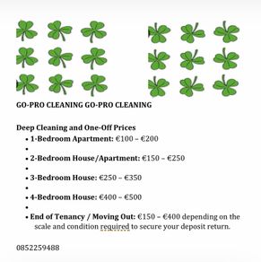 Go Pro Cleaning