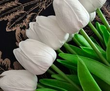 Artificial White Tulips 10 Stems 34cm