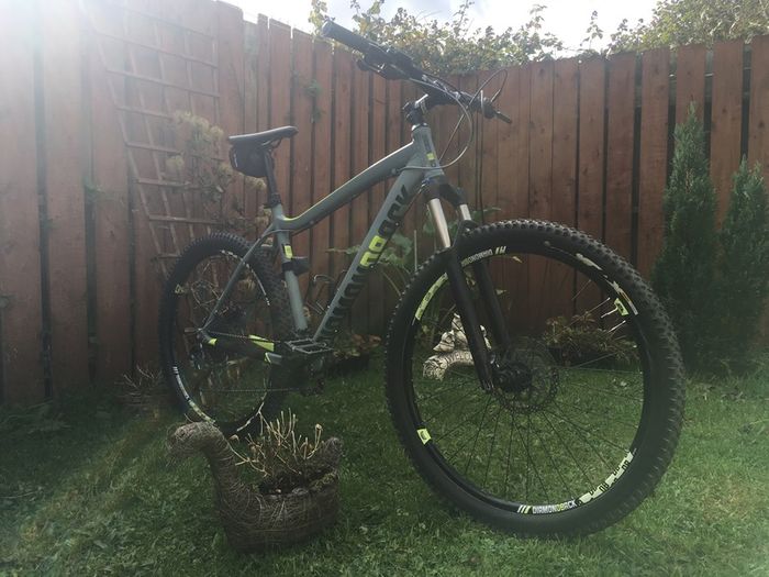 Diamondback Heist 2.0 frame size L