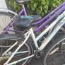 Bikes Adult Image 4
