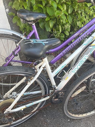 Bikes Adult