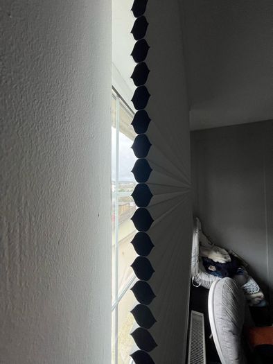 Blinds - Reduced