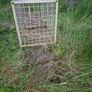 fox trap heavy duty Image 5