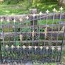 Wrought iron Gate Image 3
