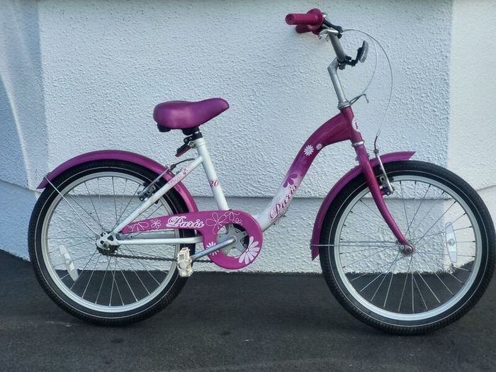 Young Girls Pink Paris Daisy Bike Used In Working Order