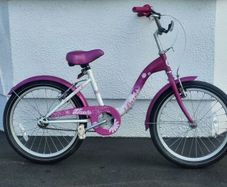 Young Girls Pink Paris Daisy Bike Used In Working Order