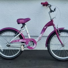 Young Girls Pink Paris Daisy Bike Used In Working Order