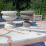 garden Image 3