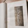 Vintage Holy Bible Image 3