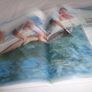 The Book of the Shark by Dr. Keith Bannister for Sale Image 3