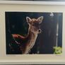 'The Deer and The Fly' Framed Photography Image 3