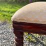 antique chairs x 6 Image 3