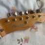 Fender vintera 50 telecaster 2019 Image 6